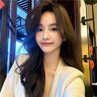 壳中少女 排气