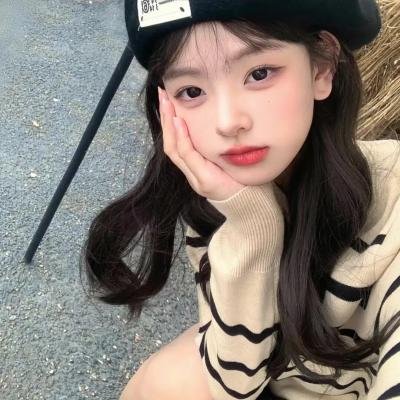 大象之梦